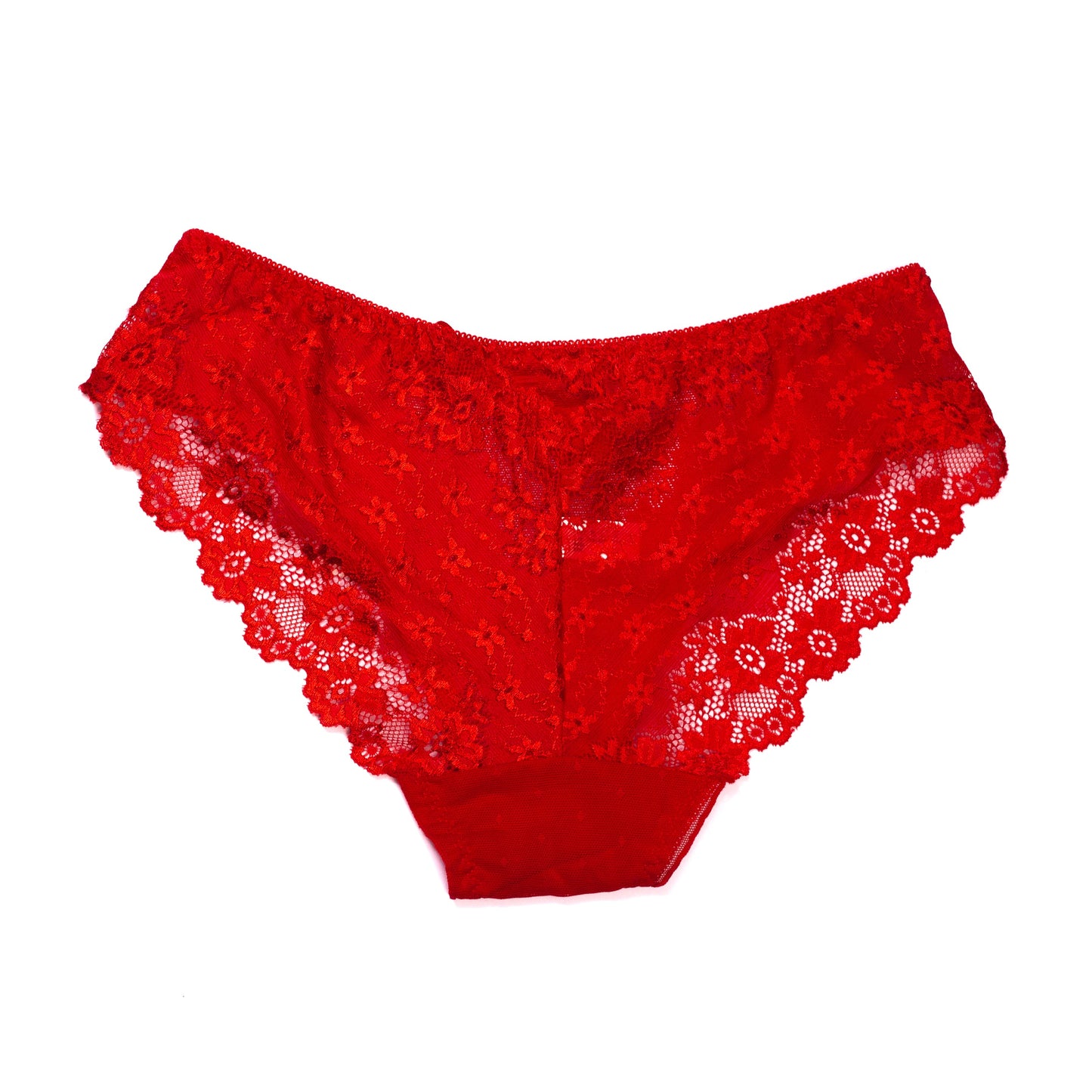 Flowers Embroidery Net Panty