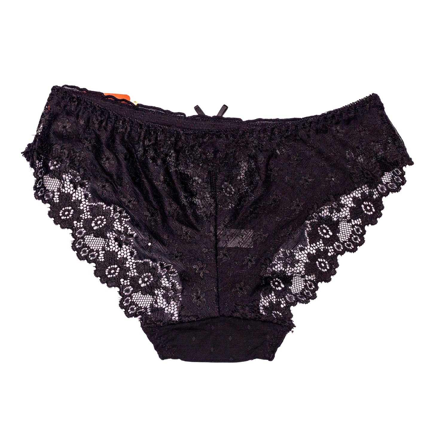 Flowers Embroidery Net Panty