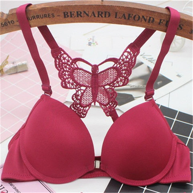 Butterfly - Fun Night Padded Bra Maroon